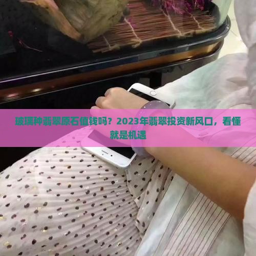 玻璃种翡翠原石