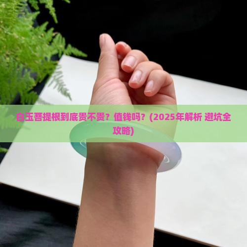 白玉菩提根贵吗值钱吗
