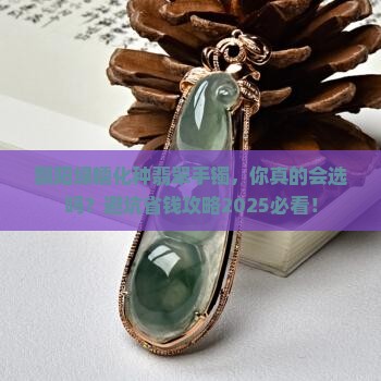 飘阳绿糯化种翡翠手镯