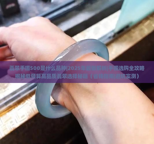 翡翠手镯500是什么品种