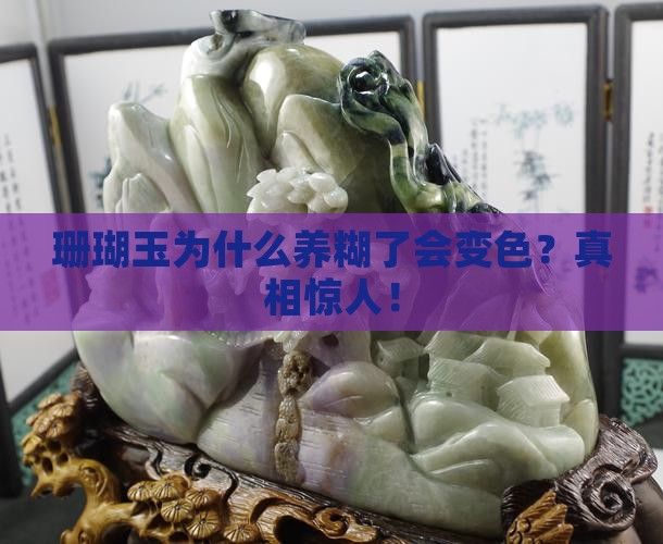 珊瑚玉为什么养糊了会变色