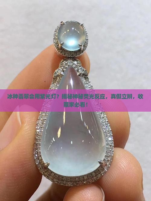 冰种翡翠会用紫光灯