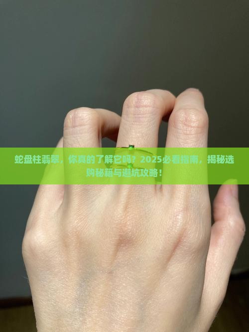 蛇盘柱翡翠