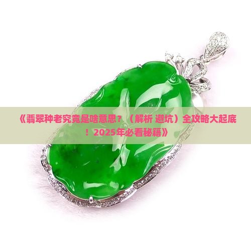 翡翠种老是啥意思