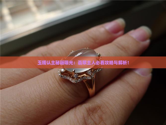 玉镯认主吗