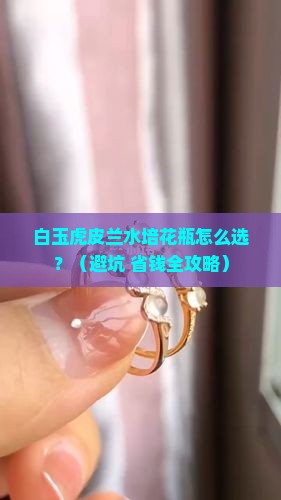 白玉虎皮兰水培花瓶
