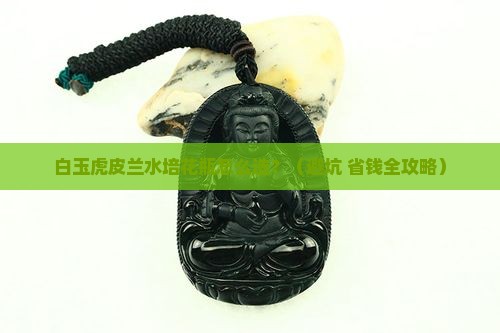 白玉虎皮兰水培花瓶