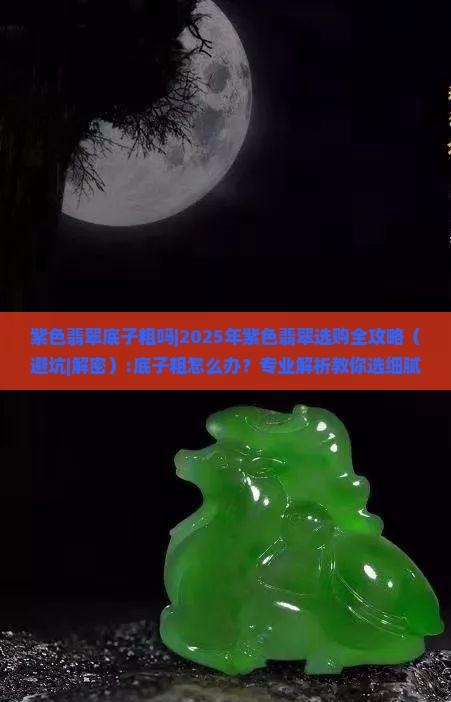 紫色翡翠底子粗吗