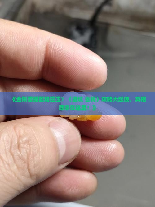 金刚菩提手串搭配和田玉