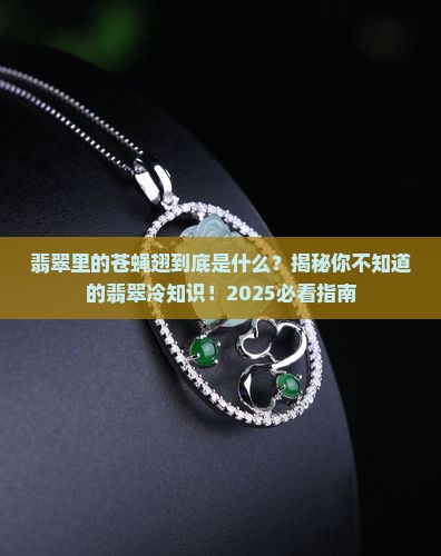 翡翠的苍蝇翅是什么的意思