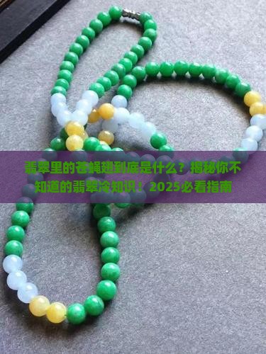 翡翠的苍蝇翅是什么的意思