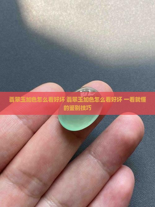 翡翠玉加色怎么看好坏 翡翠玉加色怎么看好坏