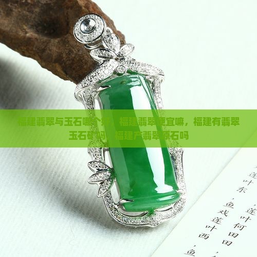 福建翡翠与玉石哪个好