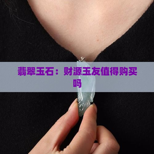 财源玉友翡翠值得买吗