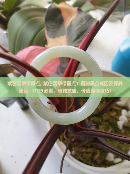 紫色翡翠带黑点
