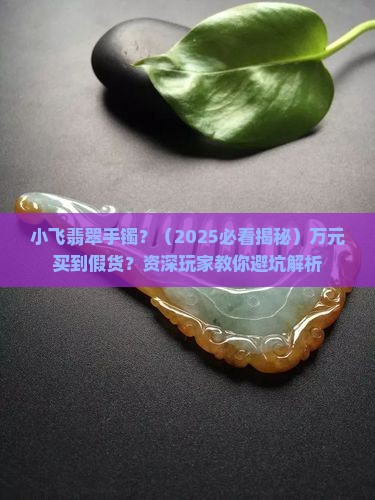 小飞翡翠手镯
