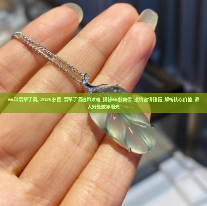 65种翡翠手镯