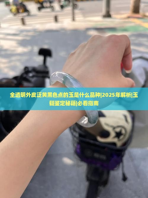 全透明外皮泛黄黑色点的玉是什么品种