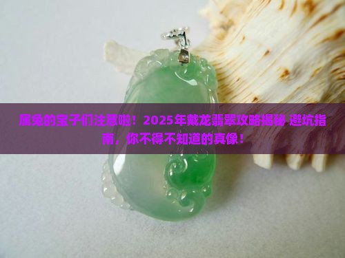 属兔能戴龙翡翠
