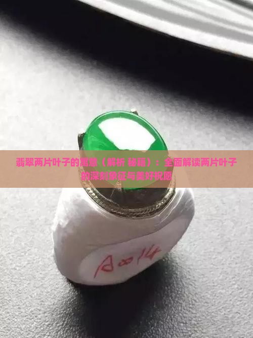 翡翠两片叶子的寓意