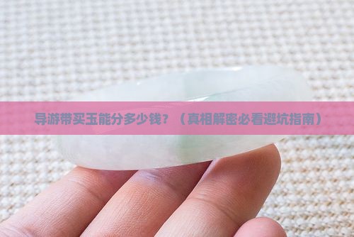 导游带买的玉他们能提多少