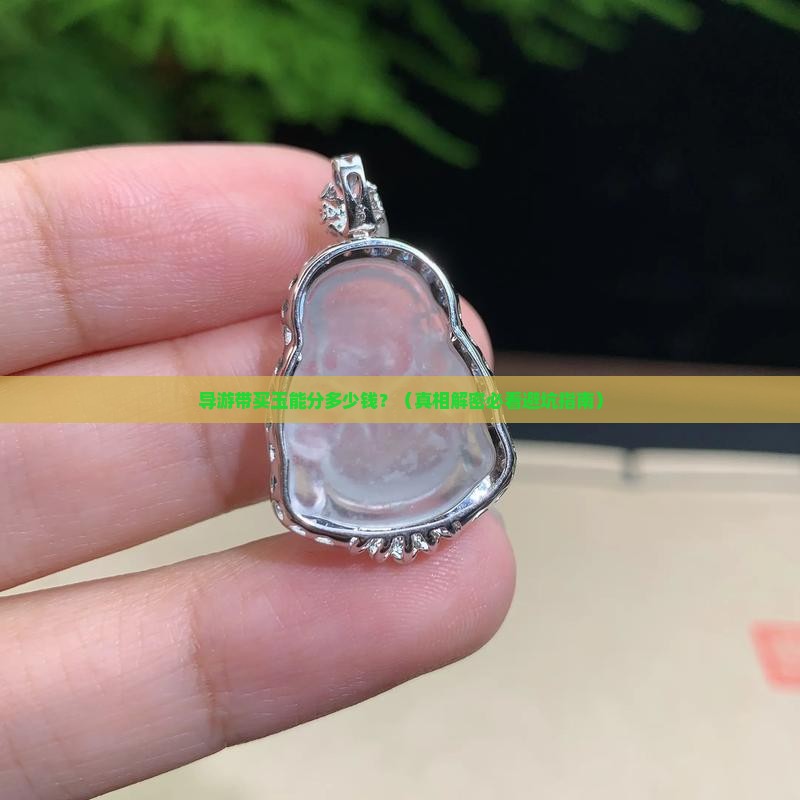 导游带买的玉他们能提多少