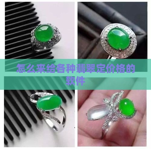 怎么来给各种翡翠定价格