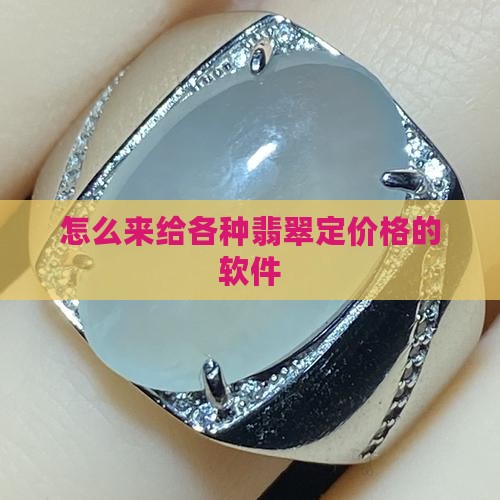 怎么来给各种翡翠定价格