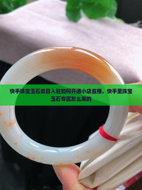 快手里珠宝玉石专区怎么来的