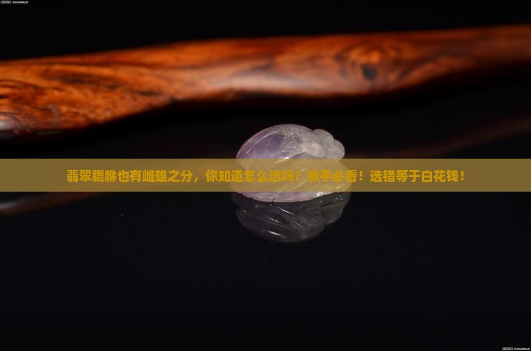 翡翠貔貅也有雌雄之分你知道怎么选吗 翡翠貔貅也有雌雄之分你知道怎么选吗