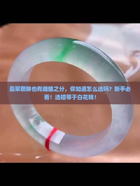 翡翠貔貅也有雌雄之分你知道怎么选吗 翡翠貔貅也有雌雄之分你知道怎么选吗