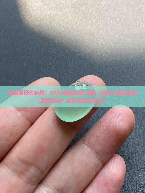 最大翡翠网