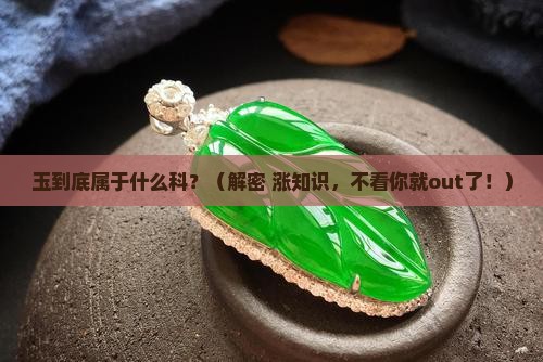 玉是什么科