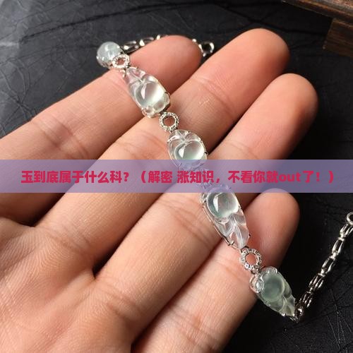 玉是什么科