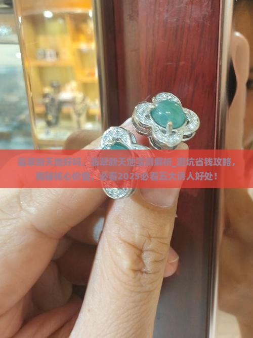 翡翠新天地好吗