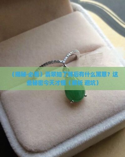 翡翠知了的寓意与象征