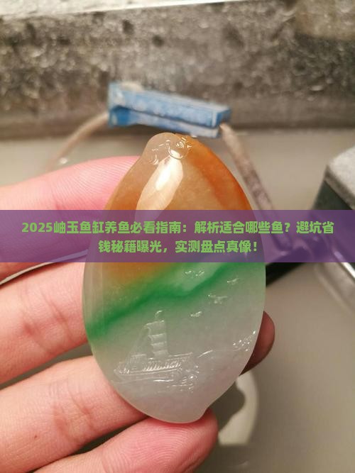 岫玉鱼缸适合养什么鱼