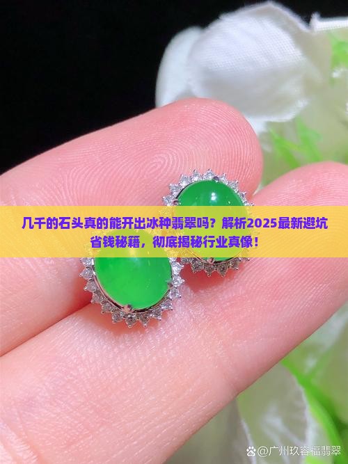几千的石头开出冰种翡翠
