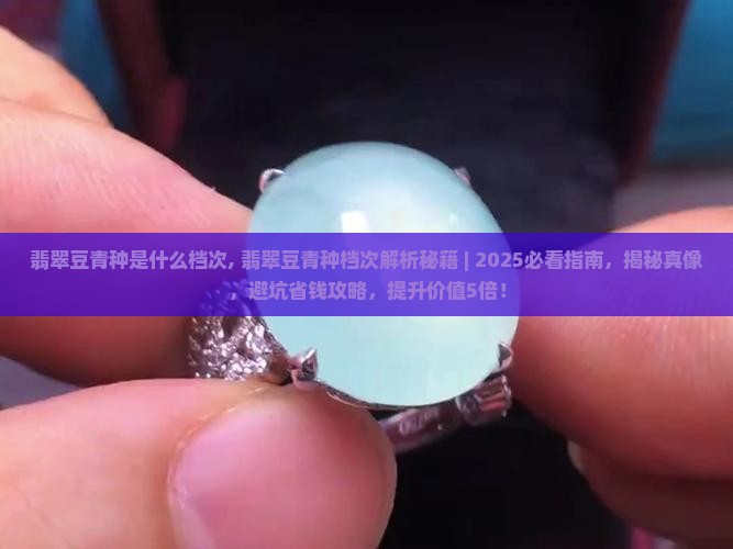 翡翠豆青种是什么档次