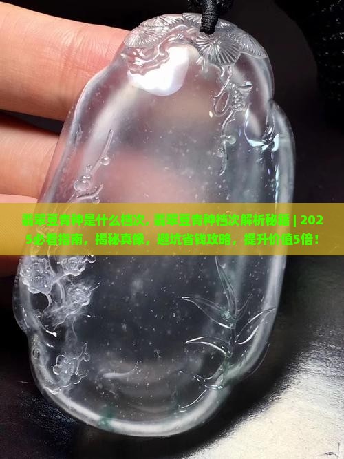 翡翠豆青种是什么档次
