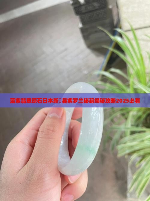 蓝紫的翡翠原石