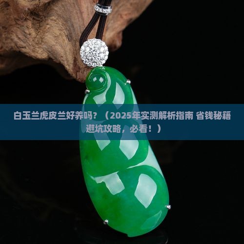 白玉兰虎皮兰好养吗
