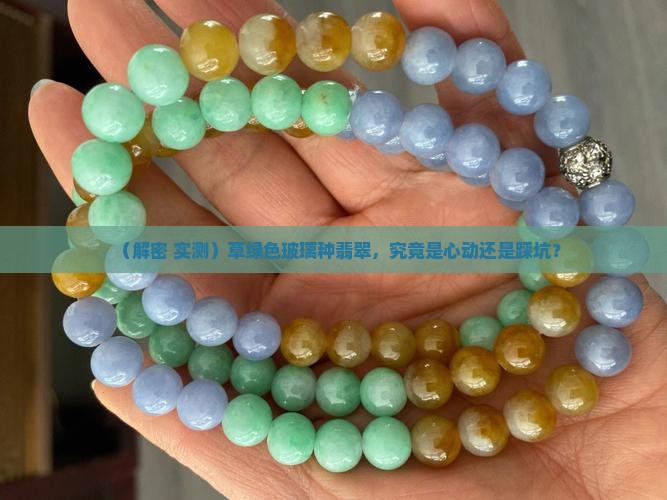 草绿色玻璃种翡翠