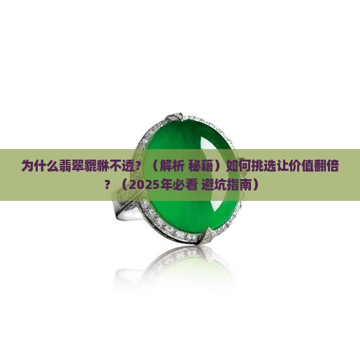 翡翠貔貅不透