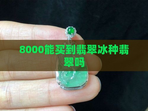 8000能买到翡翠冰种吗知乎
