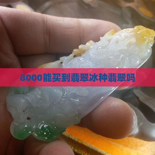 8000能买到翡翠冰种吗知乎