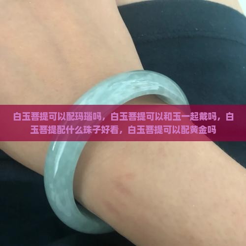 白玉菩提可以配玛瑙吗