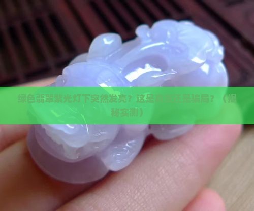 绿色翡翠紫光灯下发亮