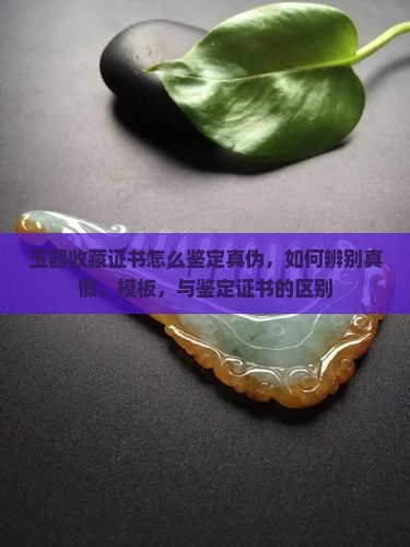 玉器收藏证书怎么鉴定真伪