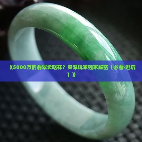什么翡翠的品种值五千万元呢